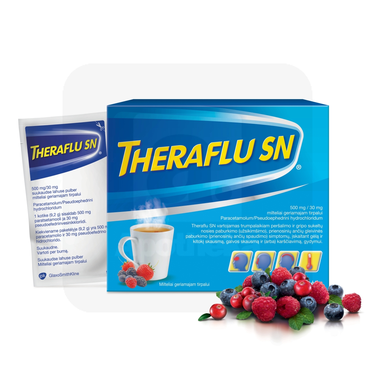 THERAFLU SN 500MG+30MG N10 SUUKAUDSE LAHUSE PULBER - Tootepilt