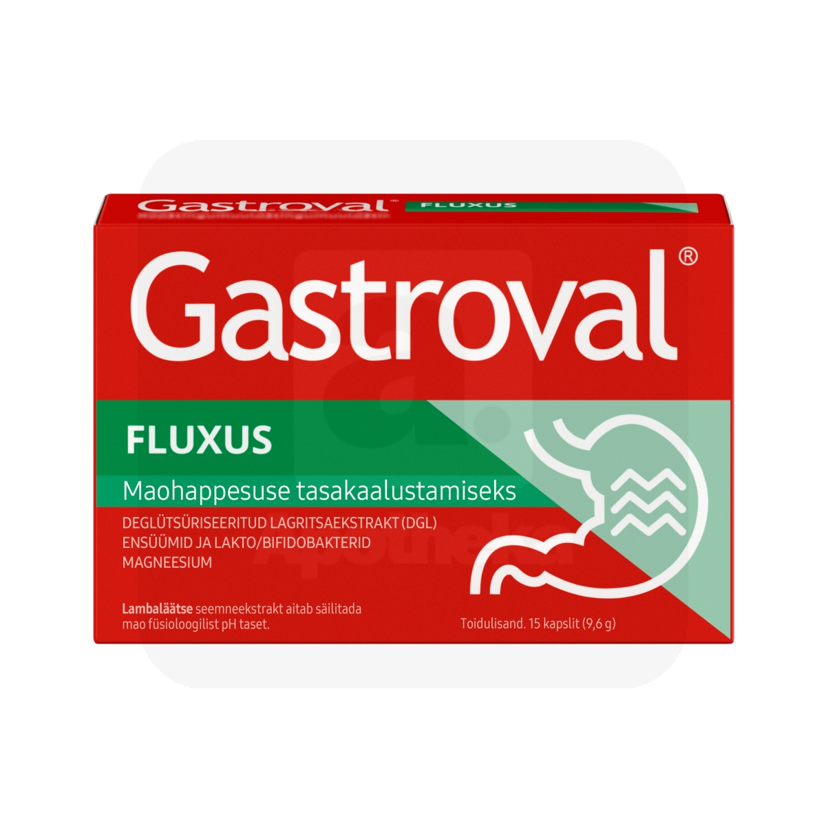 GASTROVAL FLUXUS KAPSLID N15 - Tootepilt 1