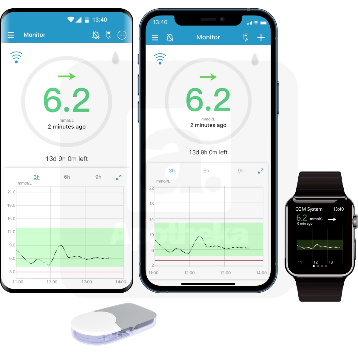 EASYSENSE S9 CGM GLÜKOOSISENSOR N2 - Tootepilt