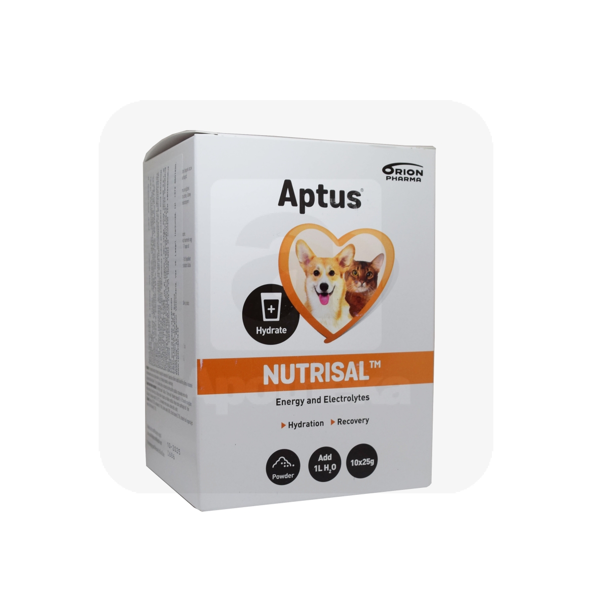 APTUS NUTRISAL PULBER 25G N10 - Tootepilt