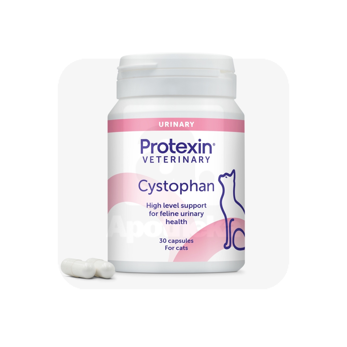 PROTEXIN CYSTOPHAN N30 - Tootepilt