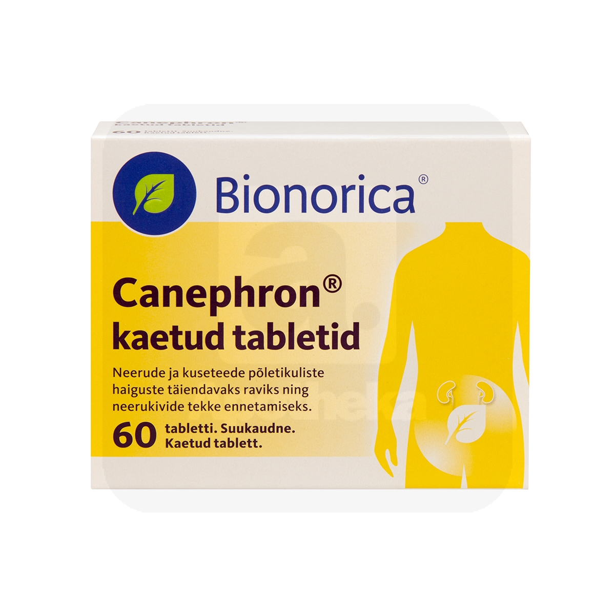 CANEPHRON KAETUD TBL 18MG+18MG+18MG N60