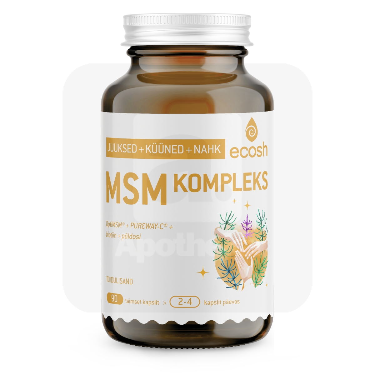 ECOSH MSM KOMPLEKS KAPSLID N90 - Tootepilt